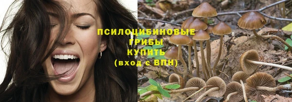 дмт Абдулино