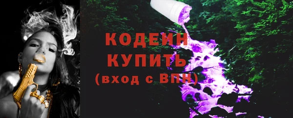 дмт Абаза