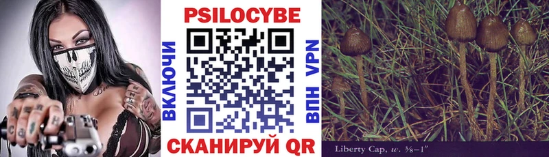 Галлюциногенные грибы мухоморы Тында