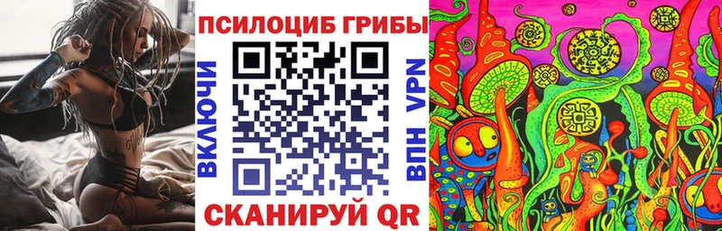 Псилоцибиновые грибы мухоморы  где купить наркотик  Тында 