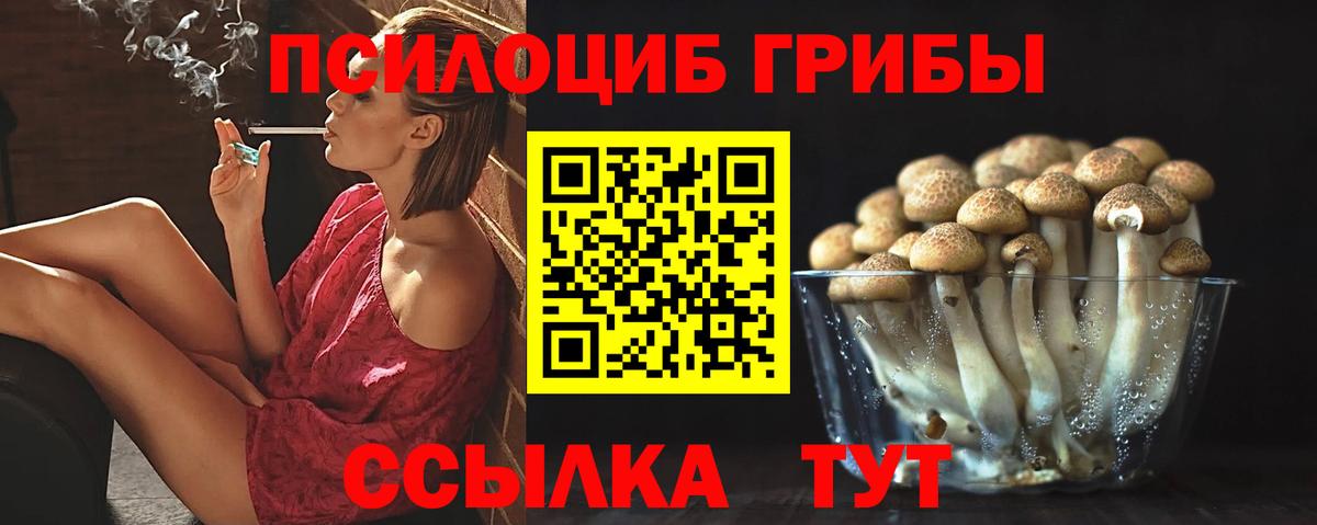Псилоцибиновые грибы GOLDEN TEACHER  Псилоцибиновые грибы мицелий  Тында  Вход с VPN 