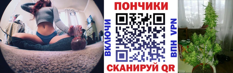 даркнет сайт  Тында  МАРИХУАНА гибрид 